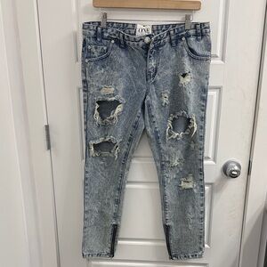One Teaspoon Trashed Free Birds Distressed Jeans Low Rise Skinny